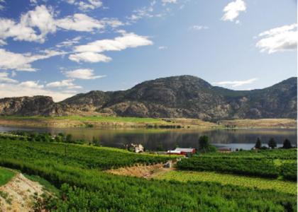 Ciliegia Villa Osoyoos Exterior foto